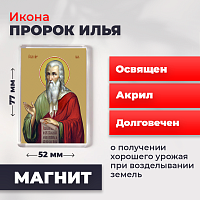 Освященная икона на магните "Илья Пророк"